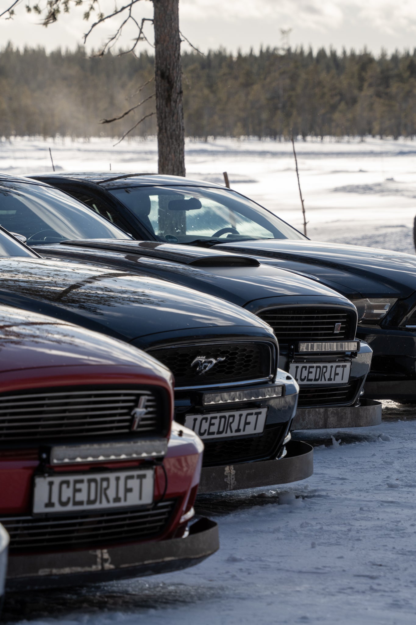 Nordic snow & ice experience - 5 days midweek (Montag-Freitag) 12.01.26 - 16.01.26
