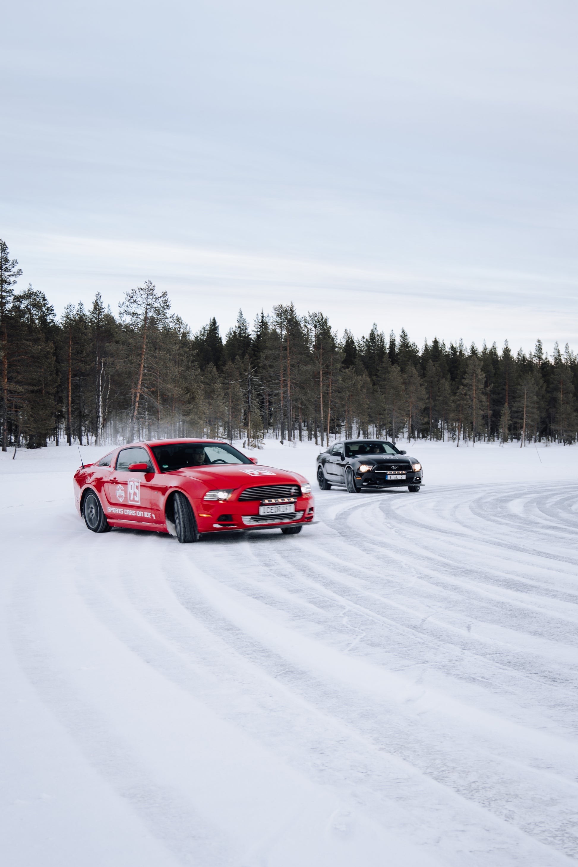 Nordic snow & ice experience - 5 days midweek (Montag-Freitag) 12.01.26 - 16.01.26
