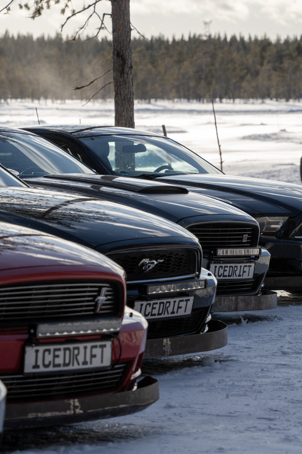 Nordic snow & ice experience - 4 days weekend (Freitag - Montag) 06.03.26 - 09.03.26